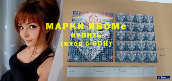 индика Алексеевка